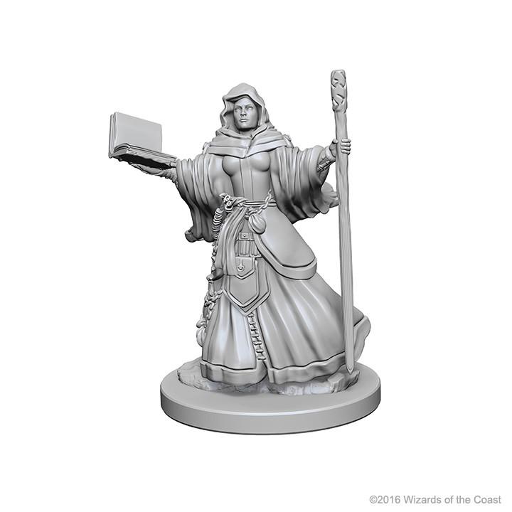Human Wizard - Female (D&D Nolzurs Marvelous Unpainted Miniatures)