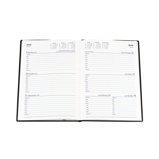 Collins 2025 Calendar Year Diary - Belmont 387 A5 WTV Pink