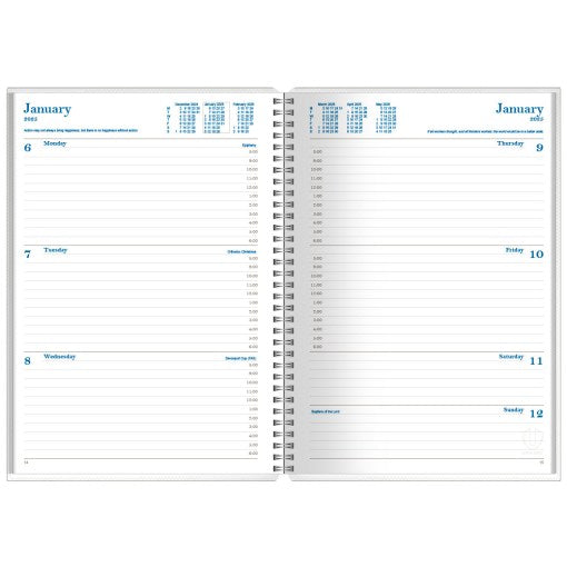 Upward 2027 Calendar Year Diary - Busy Woman's 4404 A5 WTV Camelia