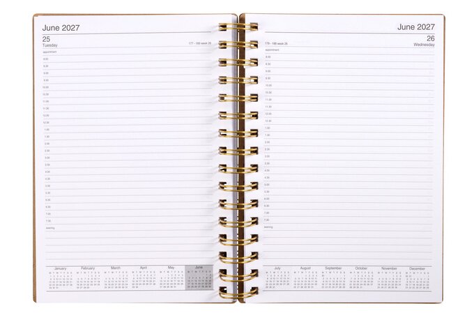 Cumberland 2027 Calendar Year Diary - Ecowise Enviro 51SECB27 A5 DTP Kraft