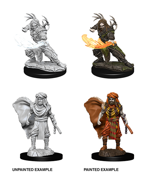 D&D - Male Human Druid (Nolzurs Marvelous Unpainted Miniatures)