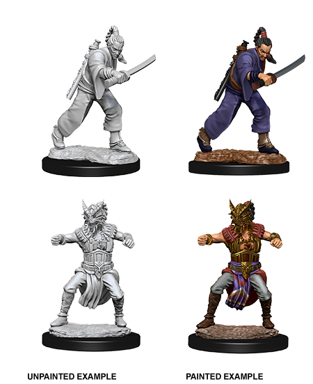 D&D - Male Human Monk (Nolzurs Marvelous Unpainted Miniatures)