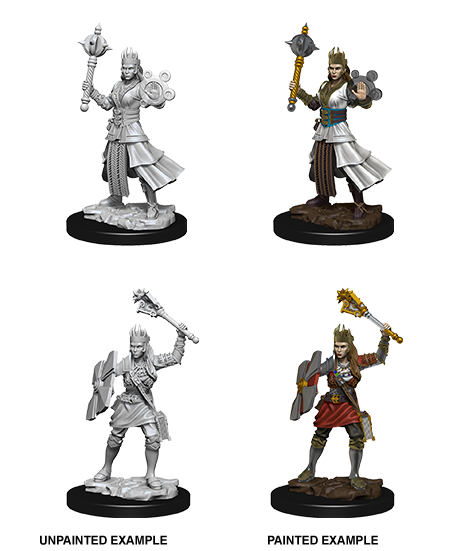 D&D - Female Human Cleric (Nolzurs Marvelous Unpainted Miniatures)