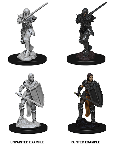 Human Fighter - Female (D&D Nolzurs Marvelous Unpainted Miniatures)