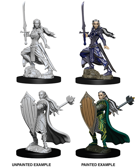 D&D - Female Elf Paladin (Nolzurs Marvelous Unpainted Miniatures)