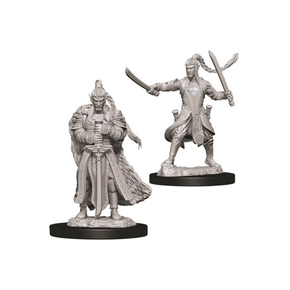 D&D - Male Elf Paladin (Nolzurs Marvelous Unpainted Miniatures)
