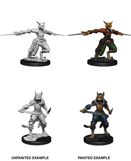 D&D - Female Tabaxi Rogue (Nolzurs Marvelous Unpainted Miniatures)