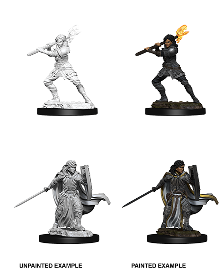 Human Paladin - Female (D&D Nolzurs Marvelous Unpainted Miniatures)