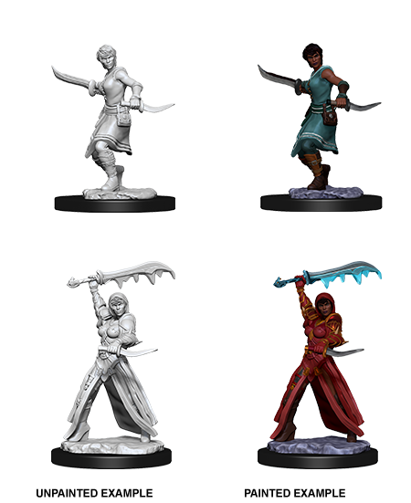 Human Rogue - Female (D&D Nolzurs Marvelous Unpainted Miniatures)
