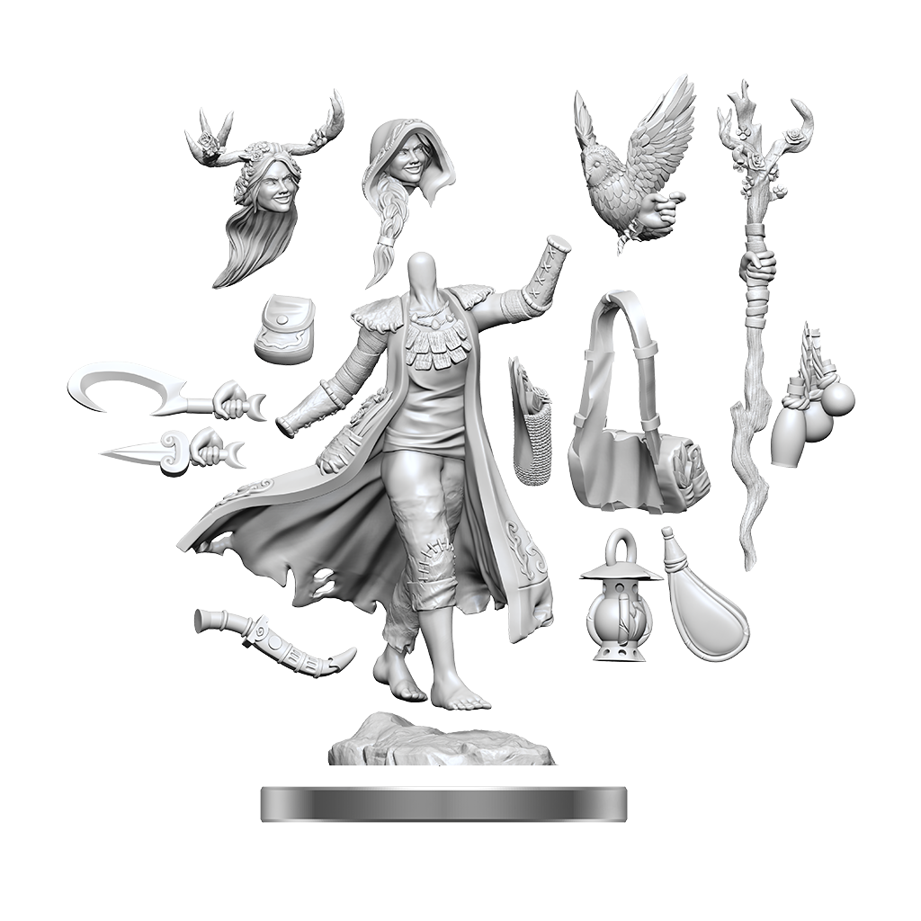 Human Druid Female (D&D Frameworks)