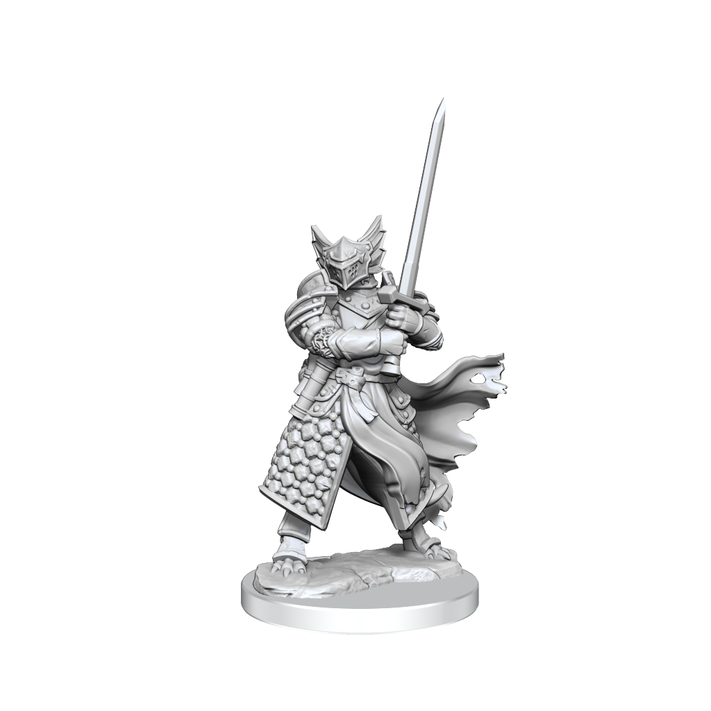 Dragonborn Paladin Male (D&D Frameworks)