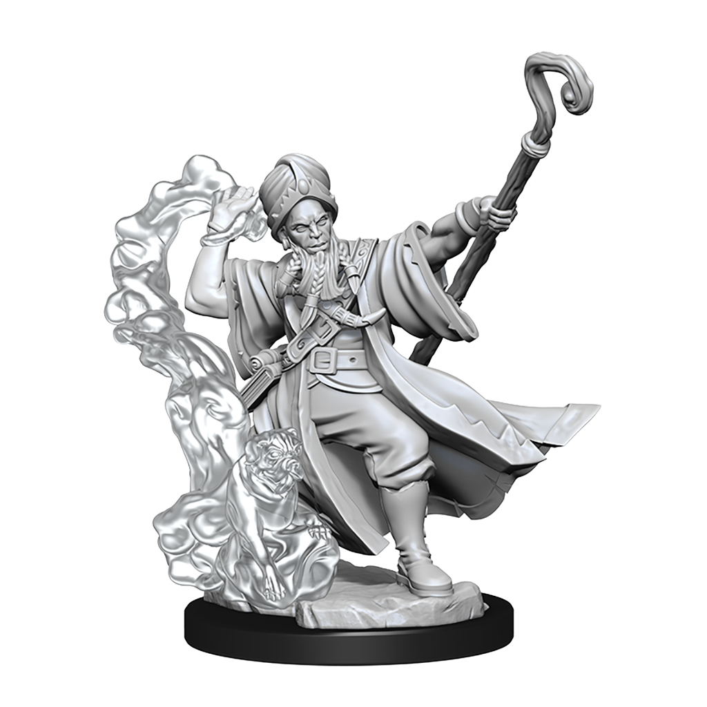 Human Wizard Male (D&D Frameworks)