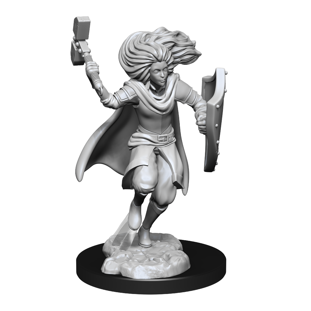 Changeling Clerics (D&D Nolzurs Marvelous Unpainted Miniatures)