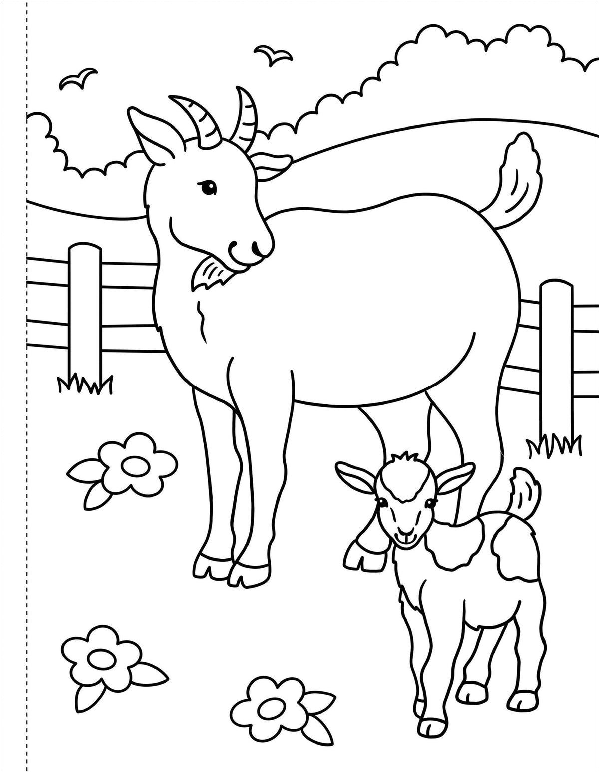 Peter Pauper My First Coloring Book On the Farm