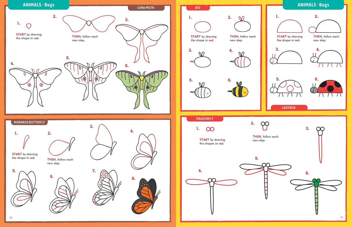 Learn to Draw... Everything! (Peter Pauper Press)