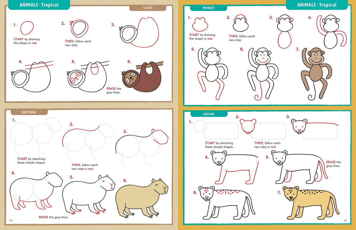 Peter Pauper Learn to Draw... Everything!