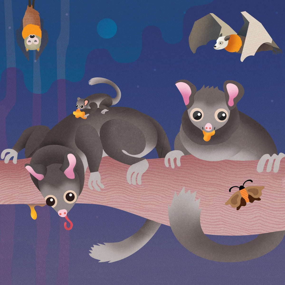 Wild Australia Leadbeaters Possums 3X49pc