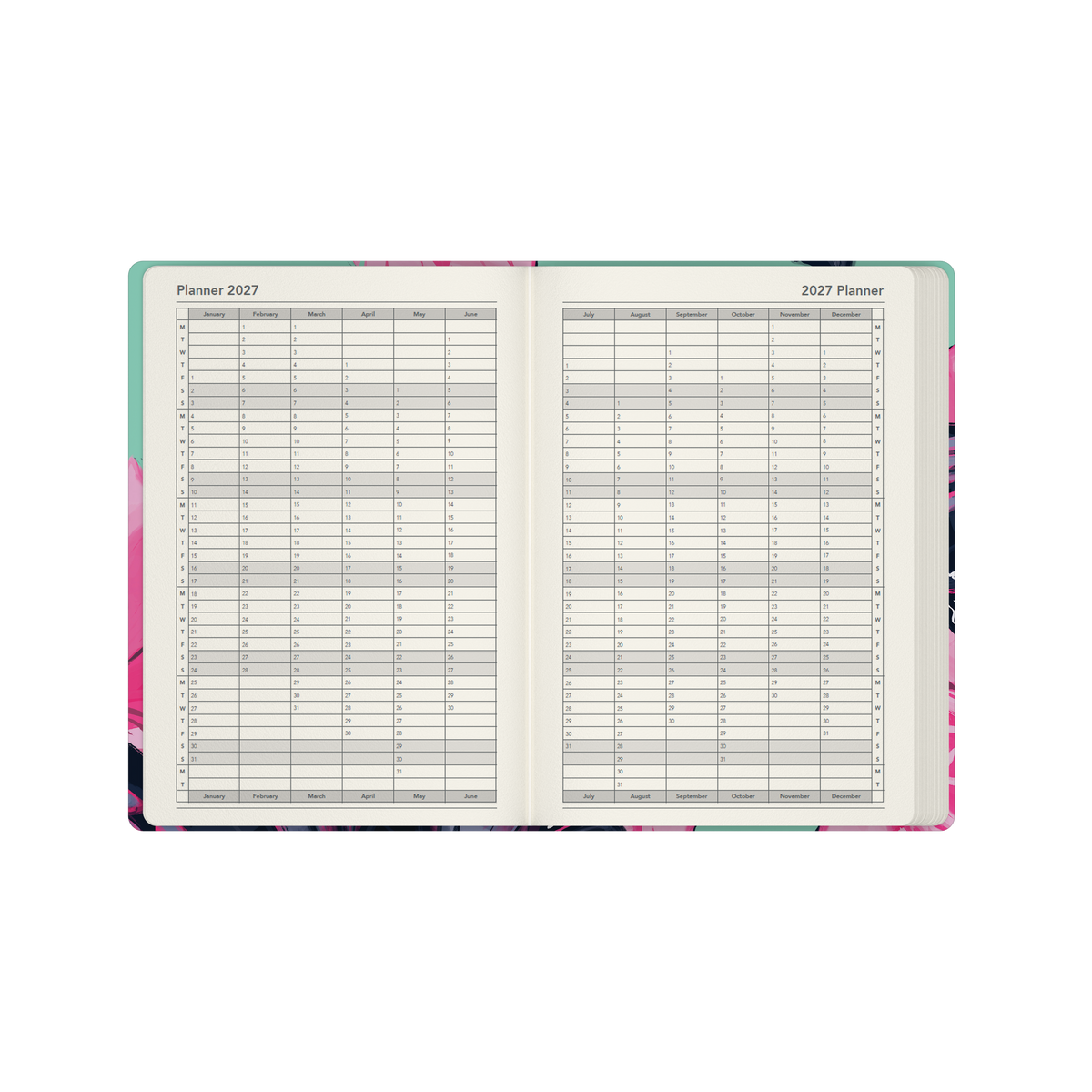Collins 2027 Calendar Year Diary - The Roses A5 Week to View Dragonfly