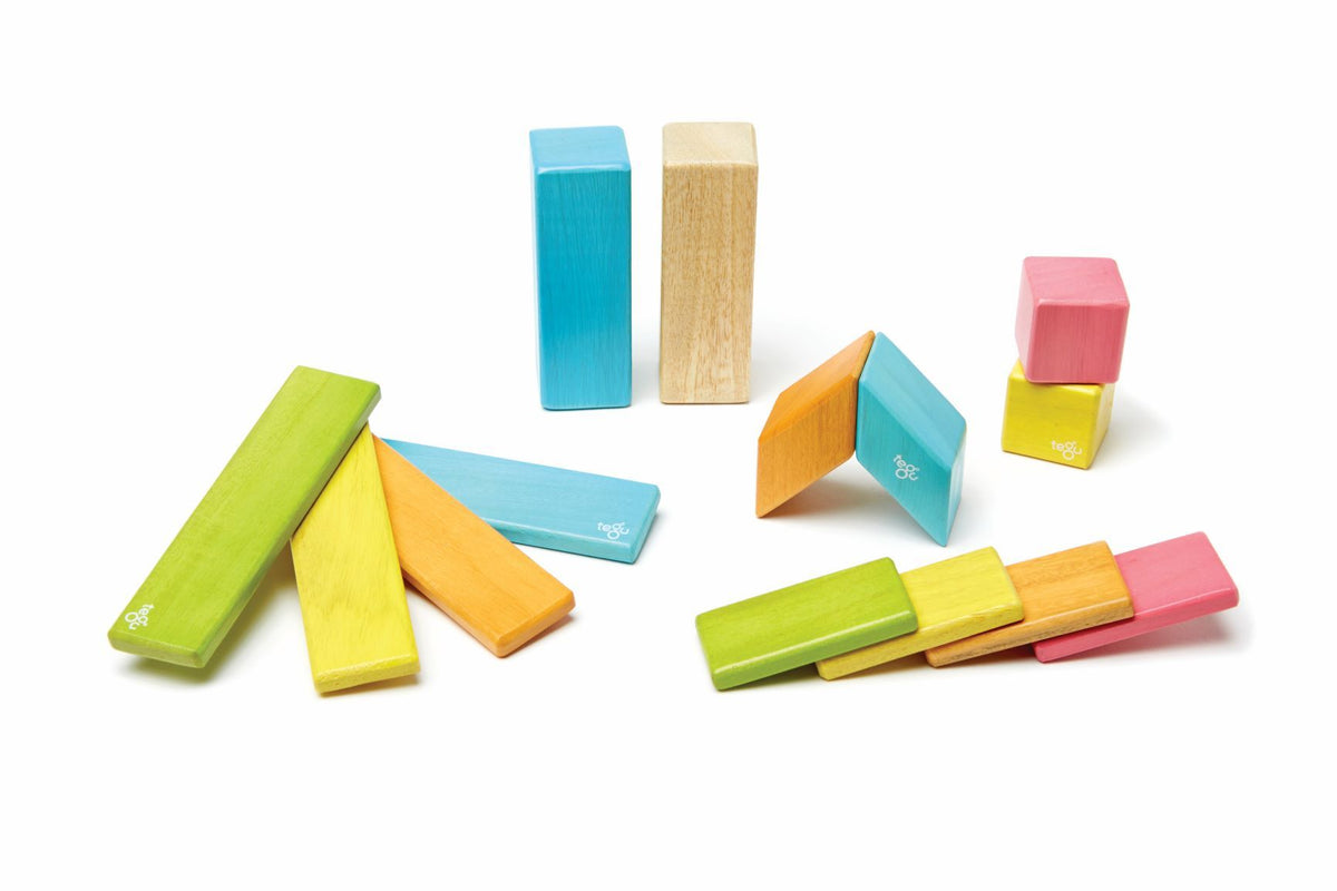 Tegu Magnetic Wooden Blocks - Classics 14 Pieces