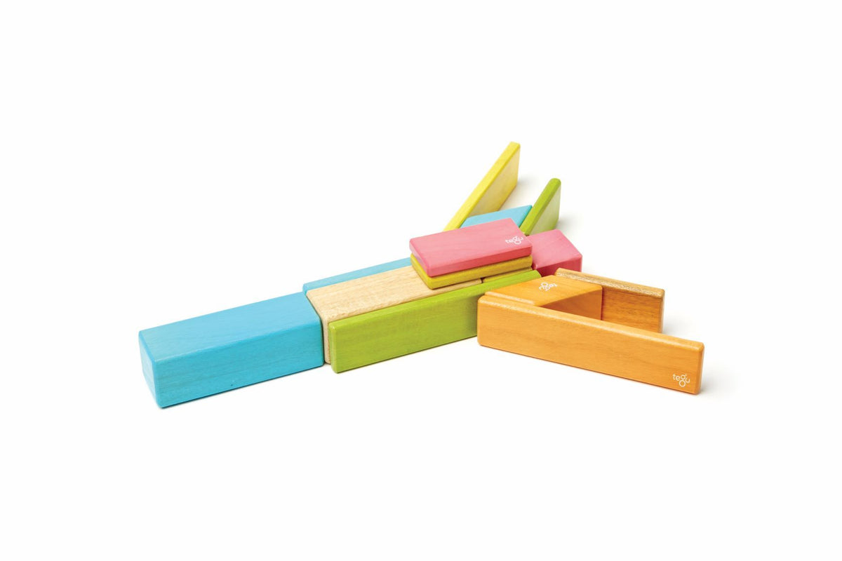 Tegu Magnetic Wooden Blocks - Classics 14 Pieces
