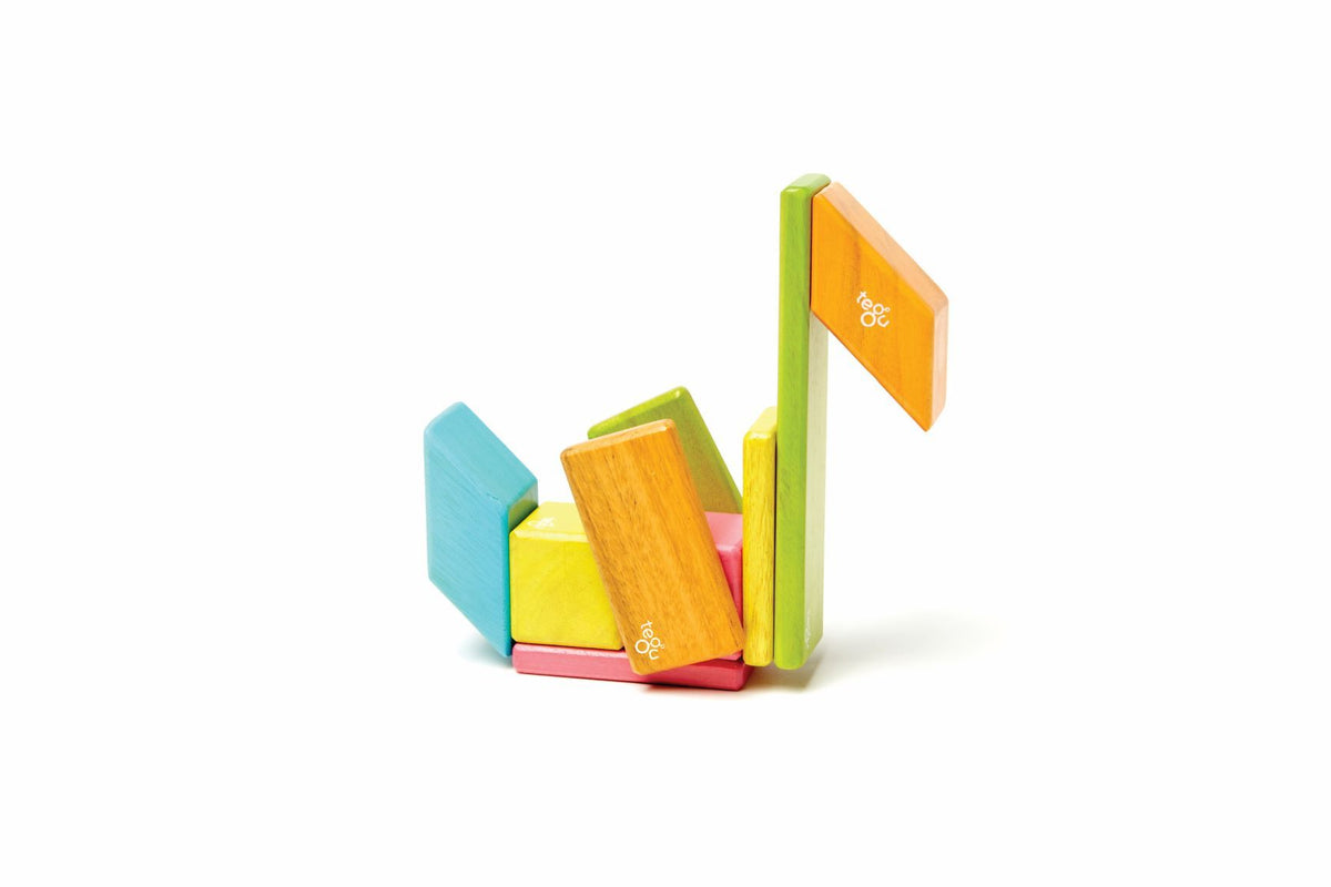 Tegu Magnetic Wooden Blocks - Classics 14 Pieces