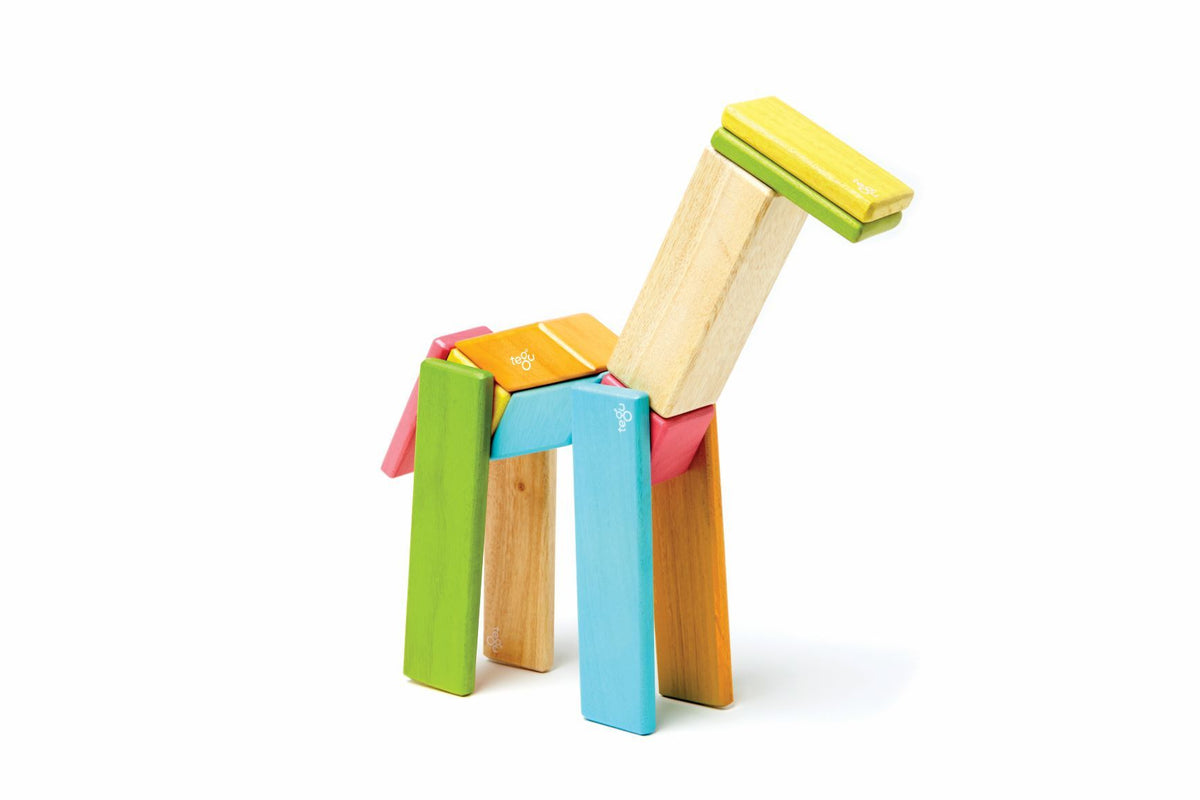 Tegu Magnetic Wooden Blocks - Classics 14 Pieces