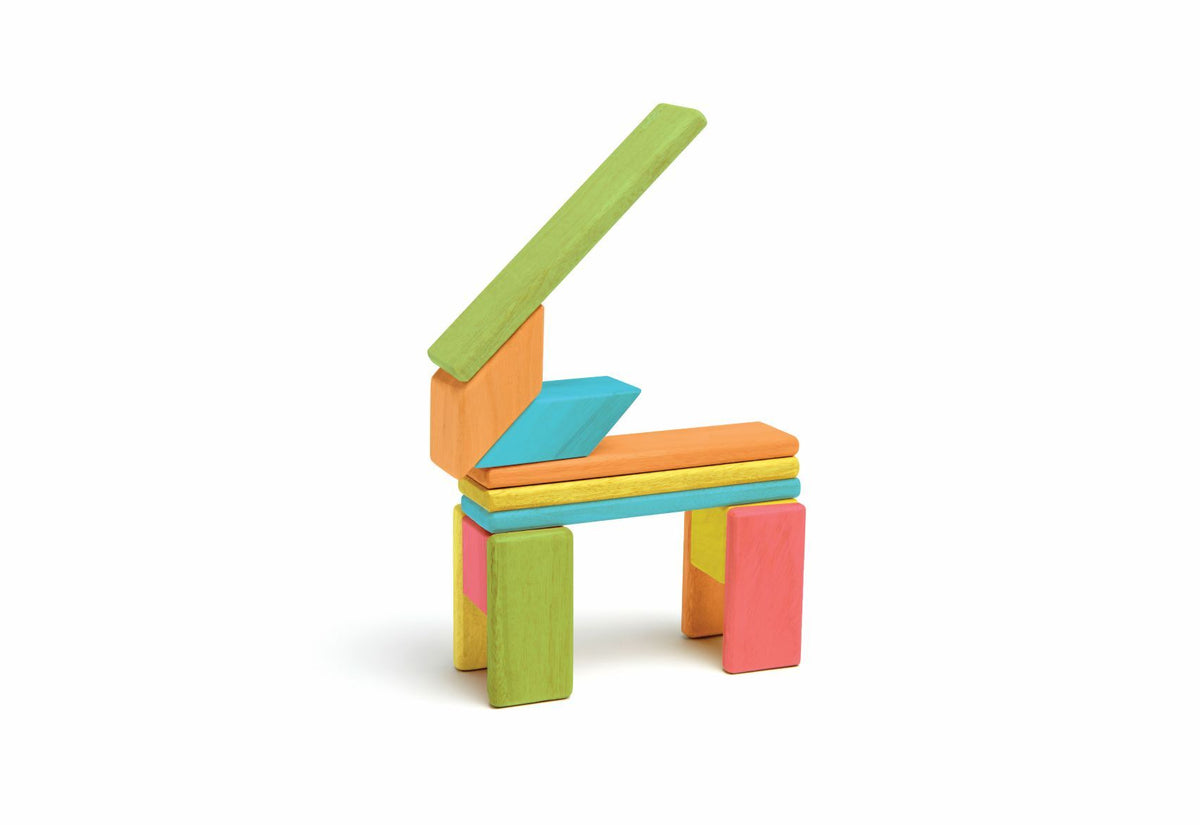 Tegu Magnetic Wooden Blocks - Classics 14 Pieces