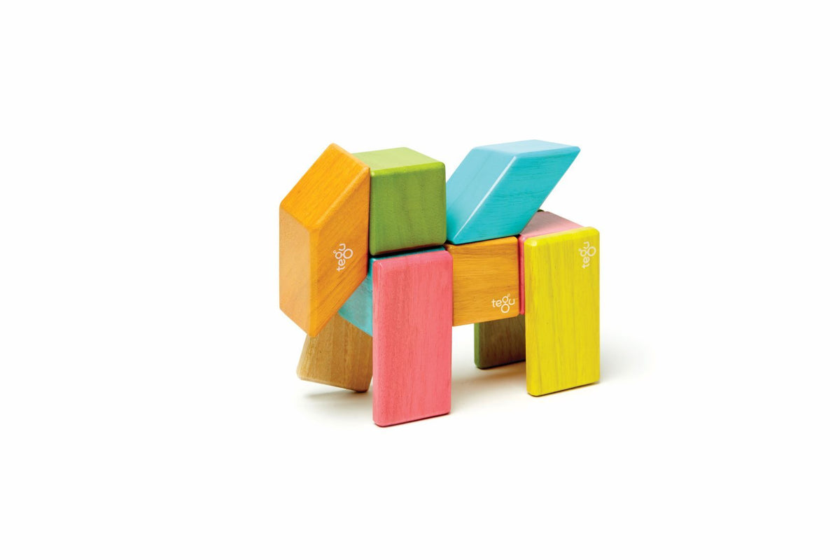 Tegu Magnetic Wooden Blocks - Classics 24 Pieces