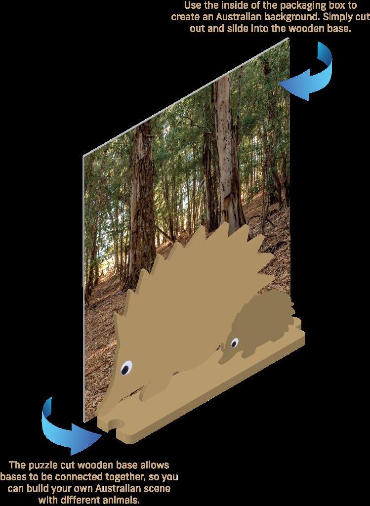 Create Your Own: Echidna and Puggle (Australian Geographic)