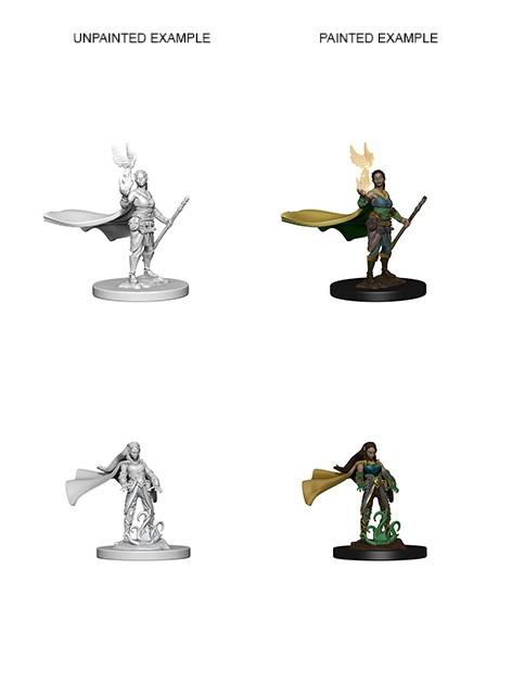 D&D - Elf Female Druid (Nolzurs Marvelous Unpainted Miniatures)