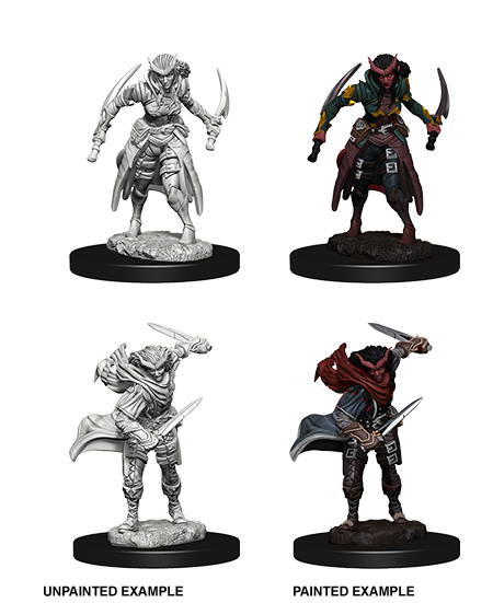 Tiefling Rogue - Female (D&D Nolzurs Marvelous Unpainted Miniatures)