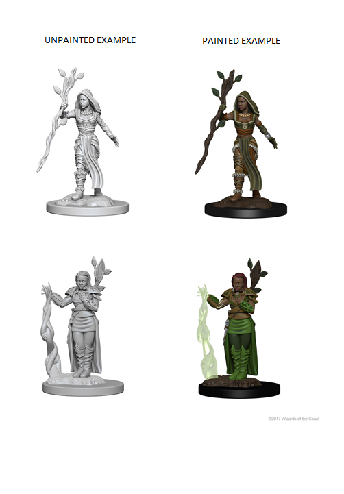 D&D - Human Female Druid (Nolzurs Marvelous Unpainted Miniatures)