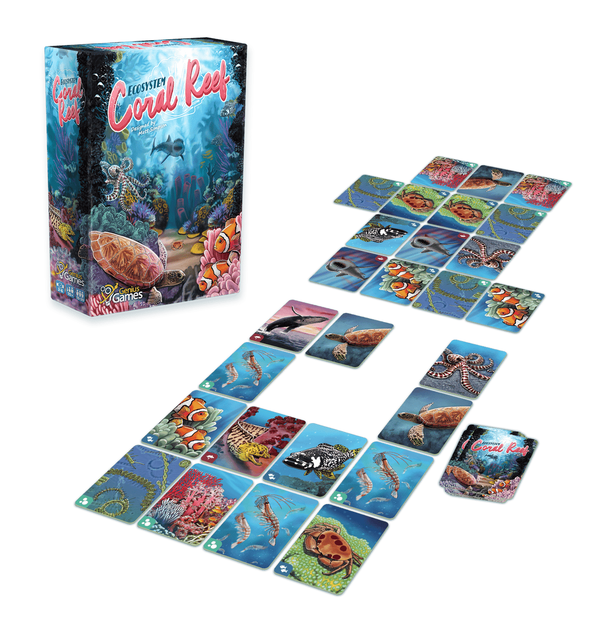 Ecosystem: Coral Reef