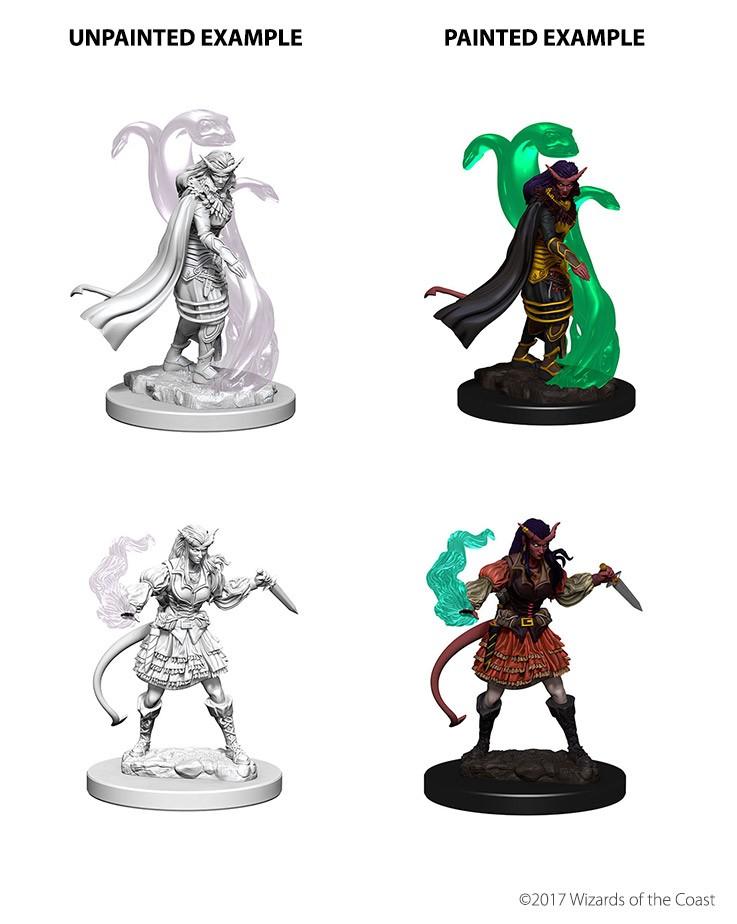 D&D - Tiefling Female Sorcerer (Nolzurs Marvelous Unpainted Miniatures)