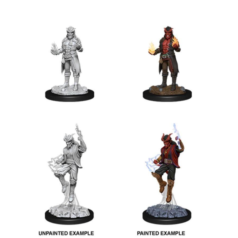 D&D - Male Tiefling Sorcerer (Nolzurs Marvelous Unpainted Miniatures)