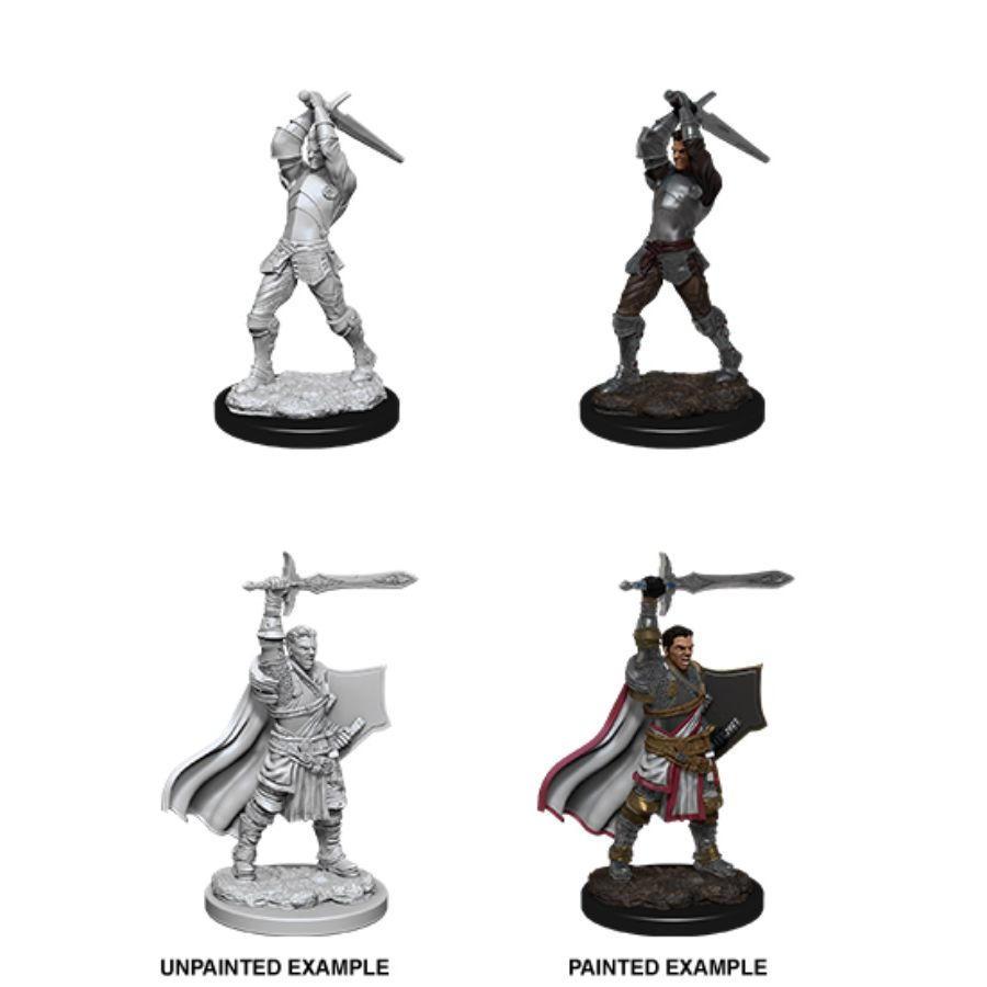 D&D - Male Human Paladin (Nolzurs Marvelous Unpainted Miniatures)