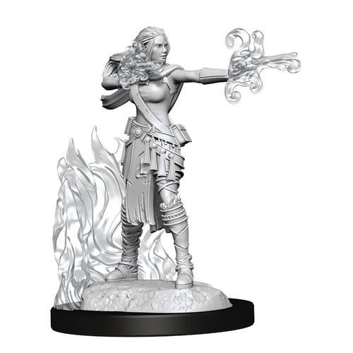 D&D - Female Multiclass Warlock & Sorcerer (Nolzurs Marvelous Unpainted Miniatures)
