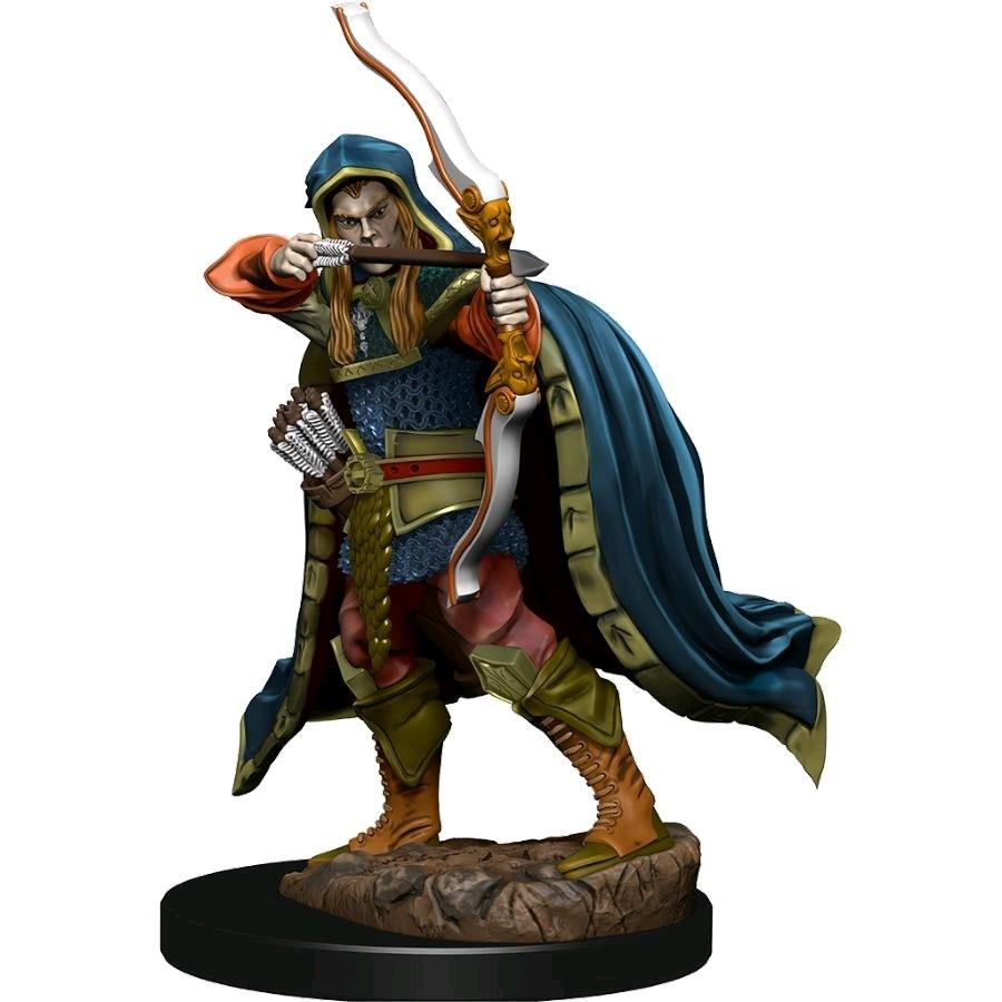 D&D - Elf Rogue Male (Premium Painted Figures)