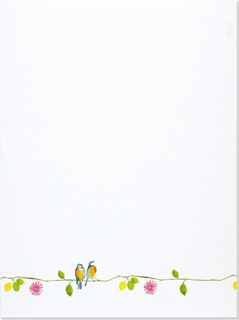 Peter Pauper Box Stat Watercolor Birds