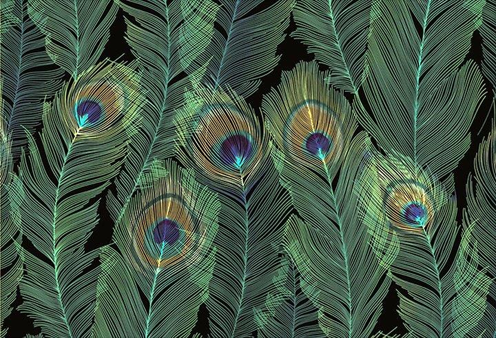 Peter Pauper Note Card Feathers