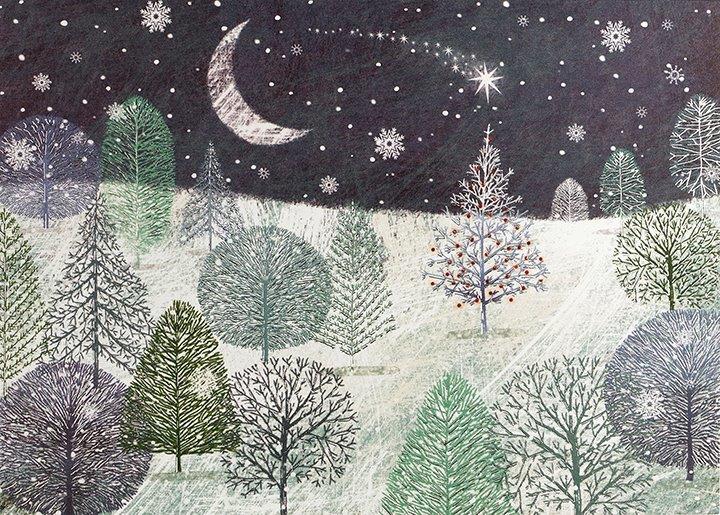 Peter Pauper Dlx Bx: Midnight Clear