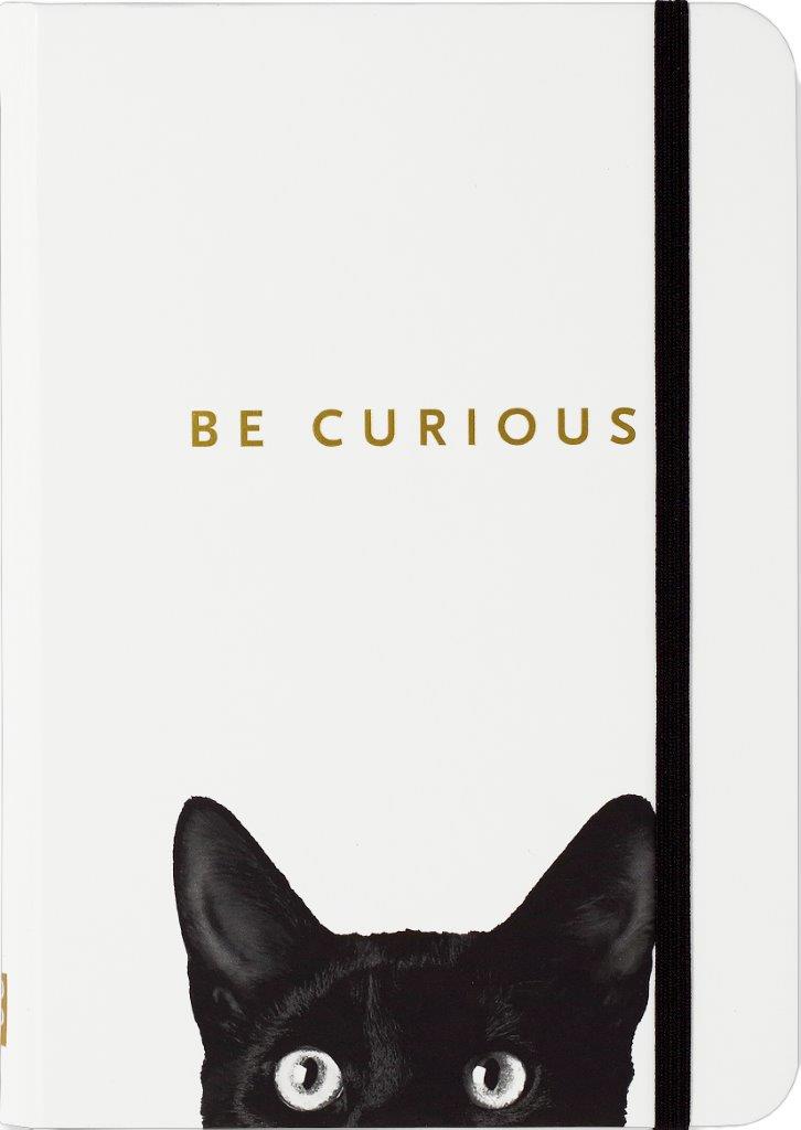 Peter Pauper Sm Jrnl Curious Cat