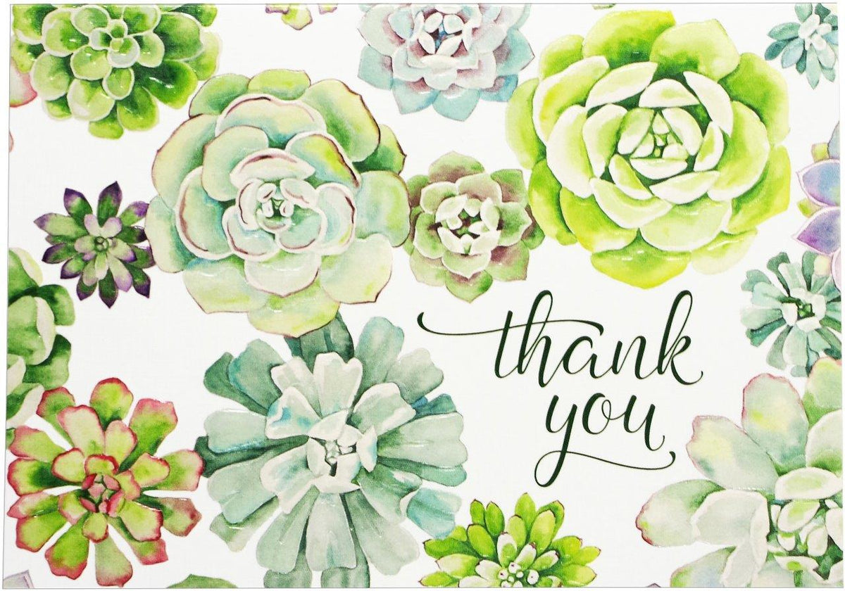 Peter Pauper Thank You Note Succulent Garden