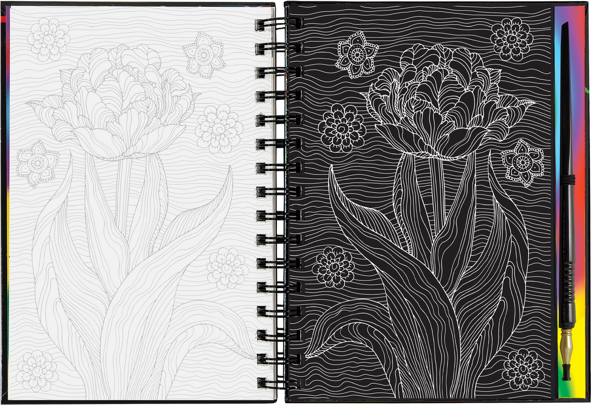 Extreme! Flowers Scratch &amp; Sketch (Peter Pauper Press)