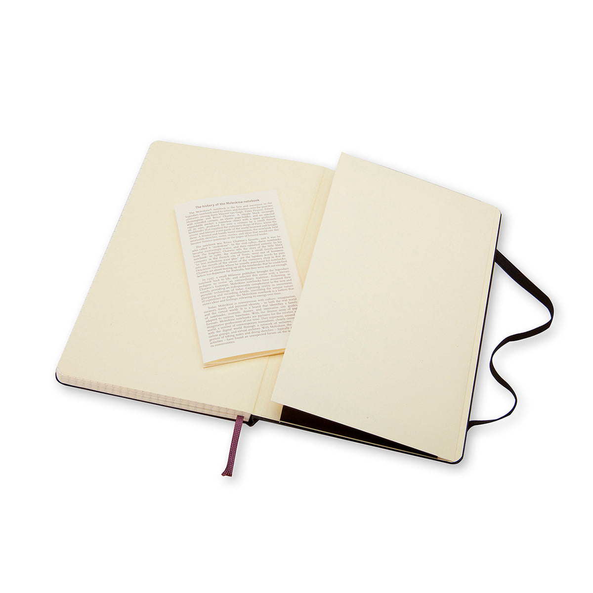 Moleskine - Classic Hard Cover Notebook - Grid - Pocket - Black