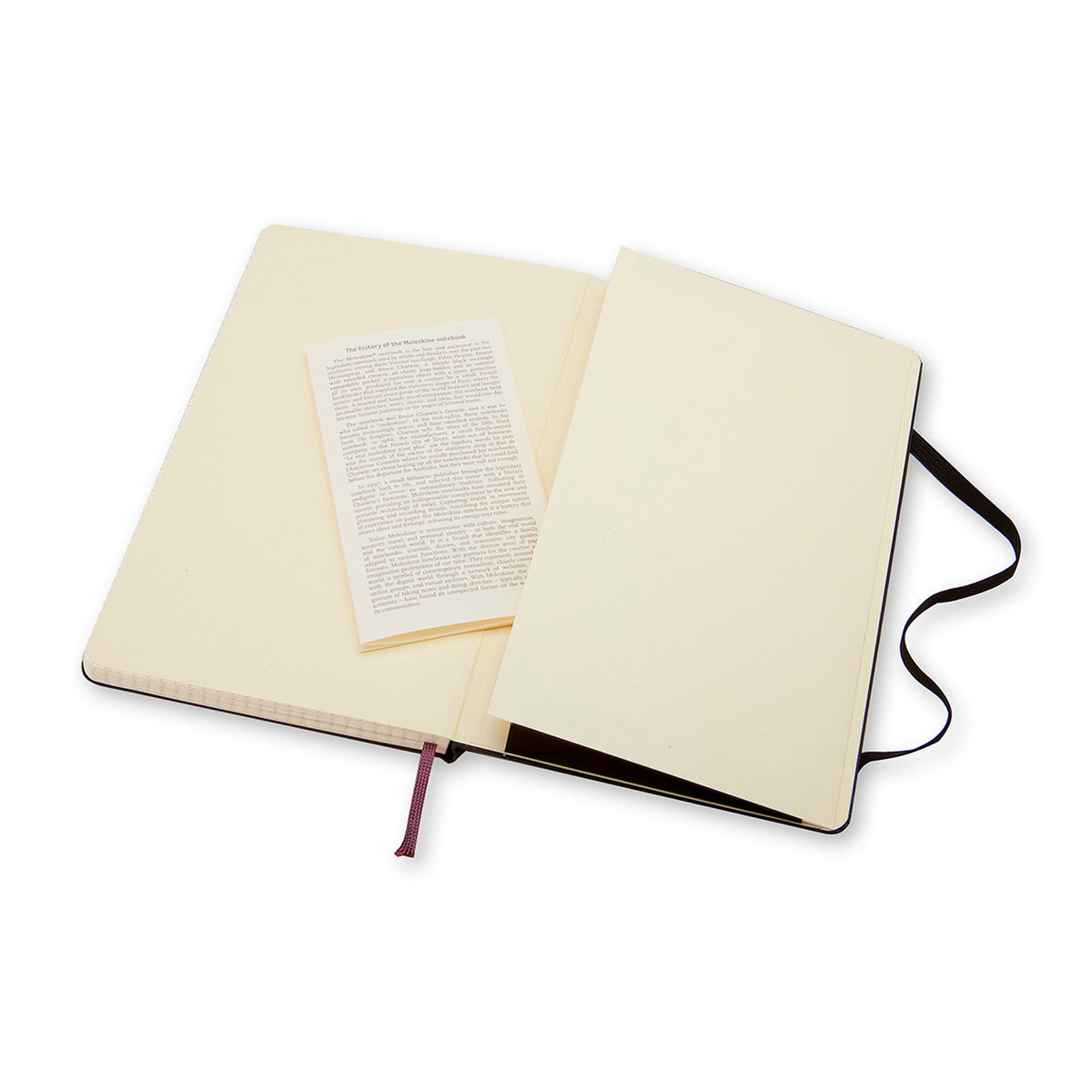 Moleskine - Classic Hard Cover Notebook - Grid - Large - Black