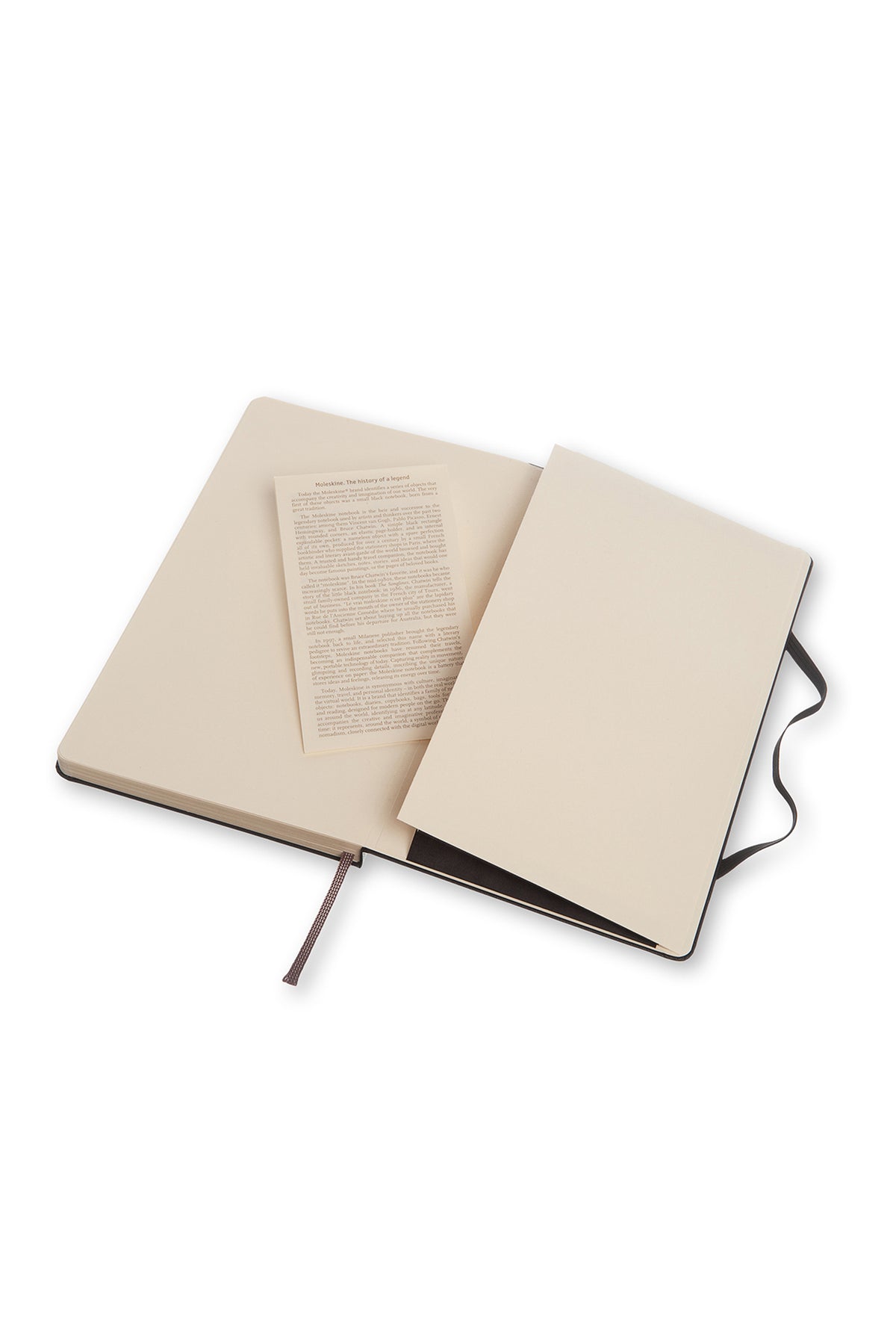 Moleskine - Classic Hard Cover Notebook - Dot Grid - Large - Black