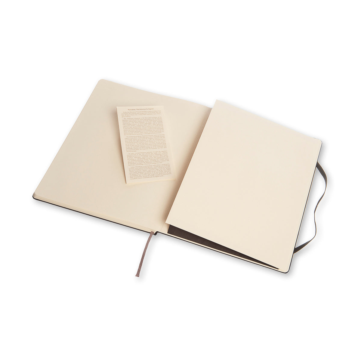 Moleskine - Classic Hard Cover Notebook - Dot Grid - Extra Large - Black