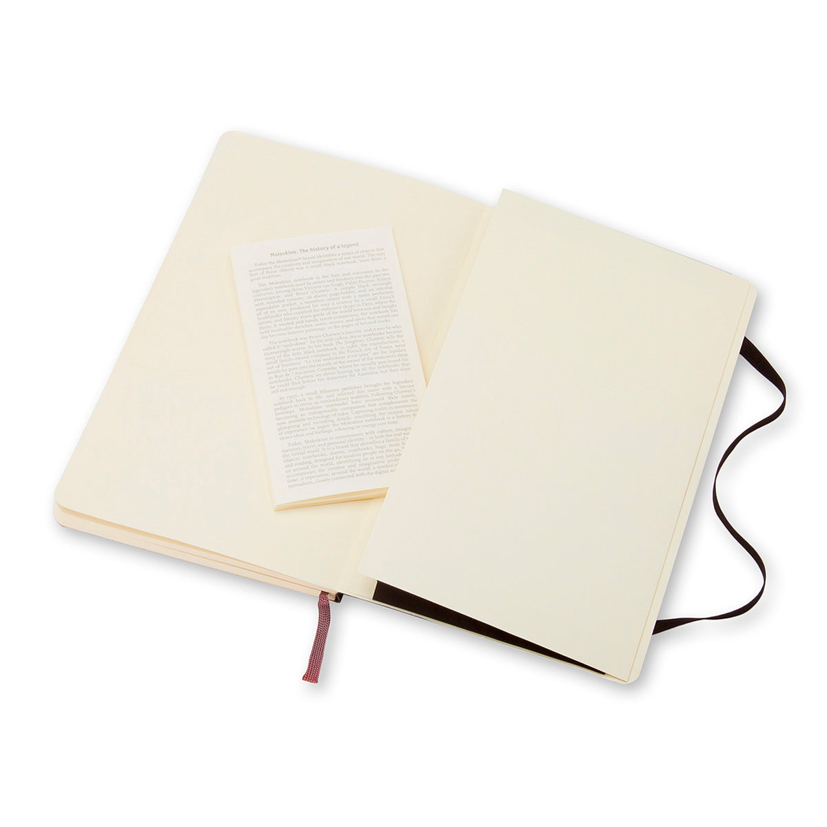 Moleskine - Classic Soft Cover Notebook - Ruled - Large - Black