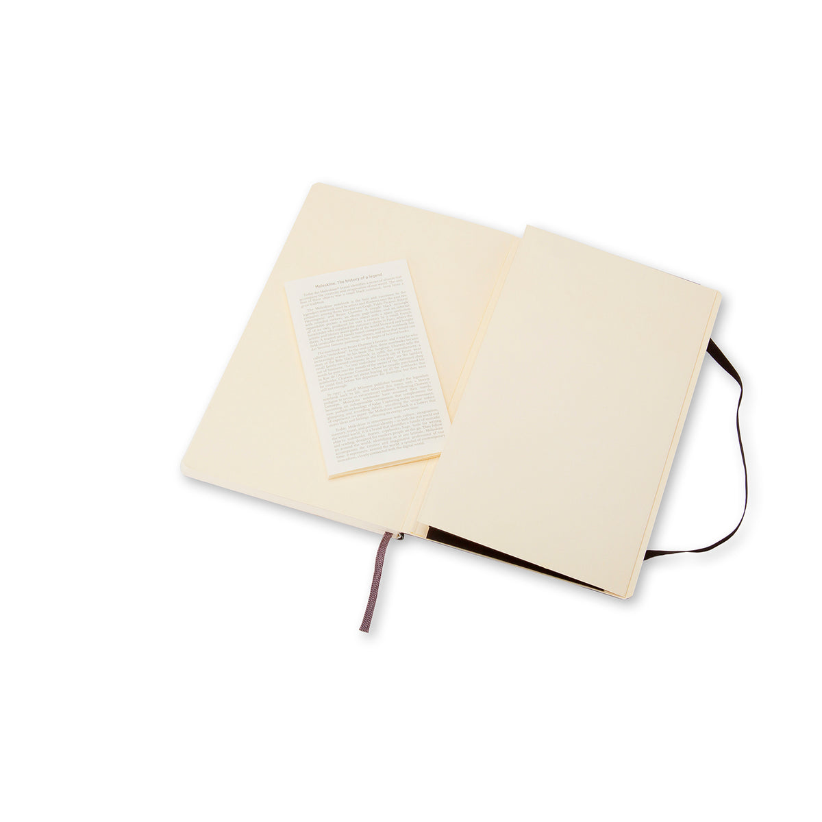 Moleskine - Classic Soft Cover Notebook - Plain - Large - Black